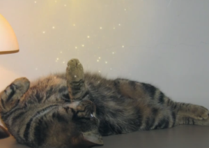 Grounding (Season 1, Episode 2)